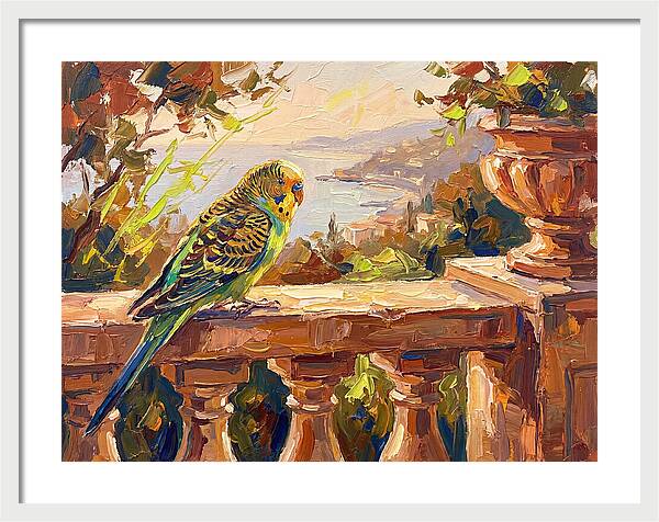 Mediterranean Parakeet Serenity