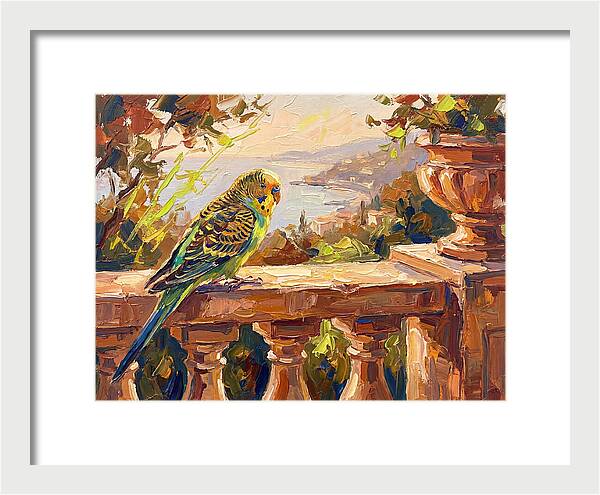 Mediterranean Parakeet Serenity