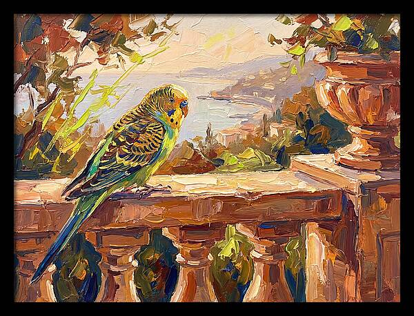 Mediterranean Parakeet Serenity