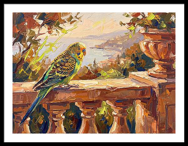Mediterranean Parakeet Serenity
