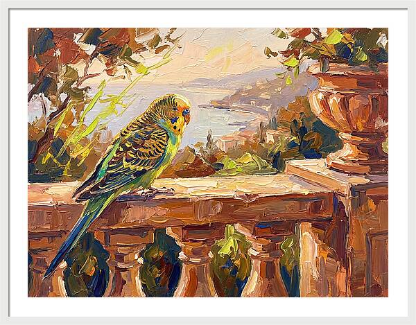 Mediterranean Parakeet Serenity