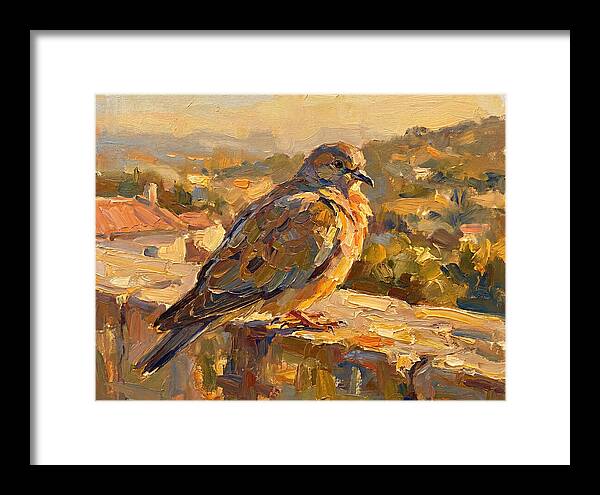 Mediterranean Pigeon Hawk