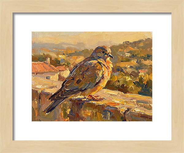 Mediterranean Pigeon Hawk