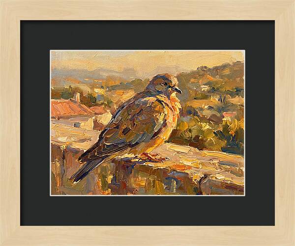 Mediterranean Pigeon Hawk