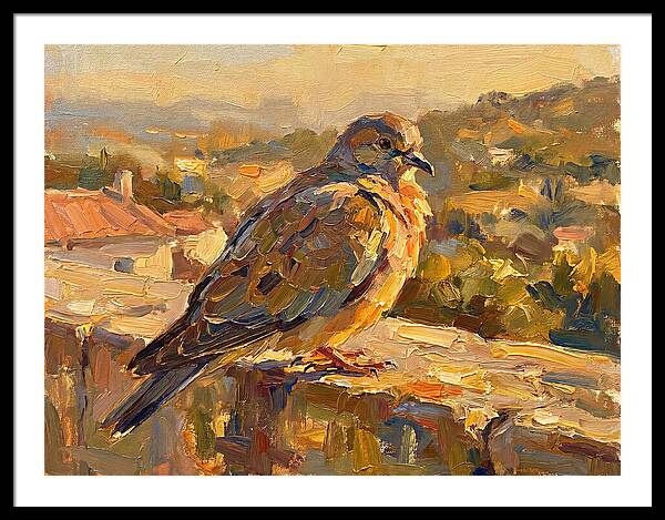 Mediterranean Pigeon Hawk