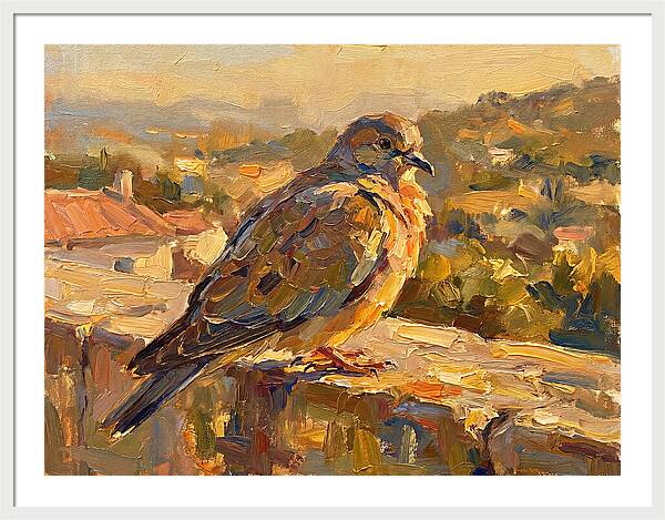 Mediterranean Pigeon Hawk