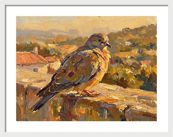 Mediterranean Pigeon Hawk