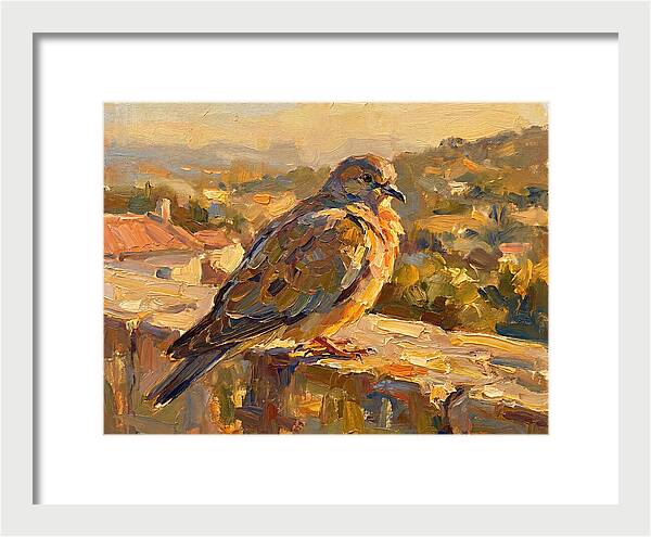Mediterranean Pigeon Hawk