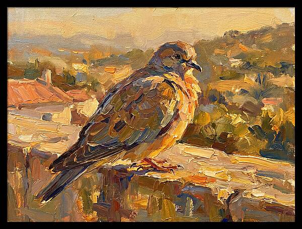 Mediterranean Pigeon Hawk