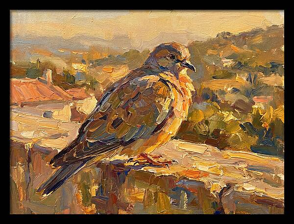 Mediterranean Pigeon Hawk