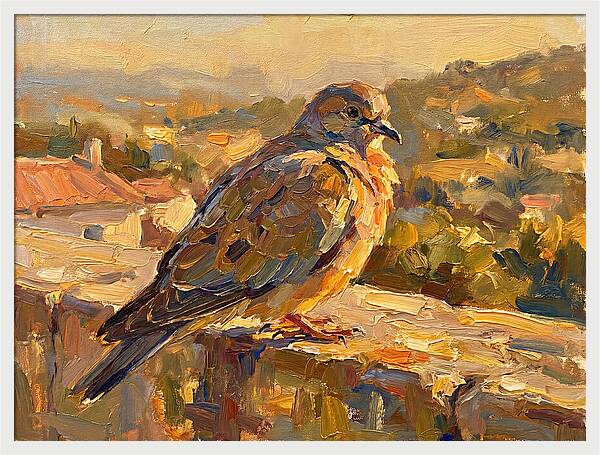 Mediterranean Pigeon Hawk