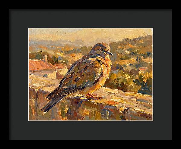 Mediterranean Pigeon Hawk