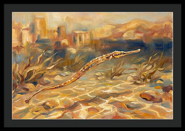 Mediterranean Pipefish Serenity