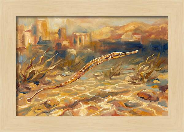 Mediterranean Pipefish Serenity
