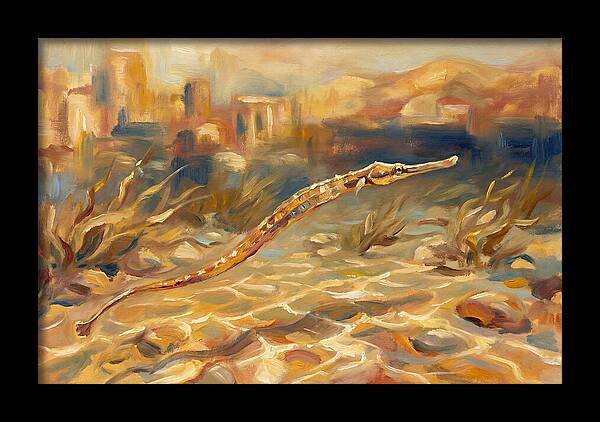 Mediterranean Pipefish Serenity