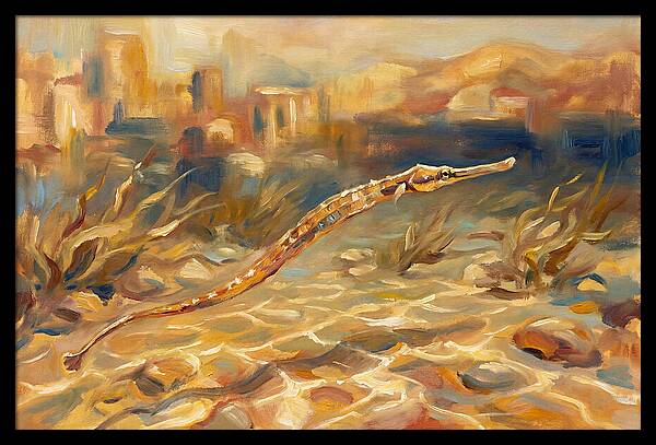 Mediterranean Pipefish Serenity