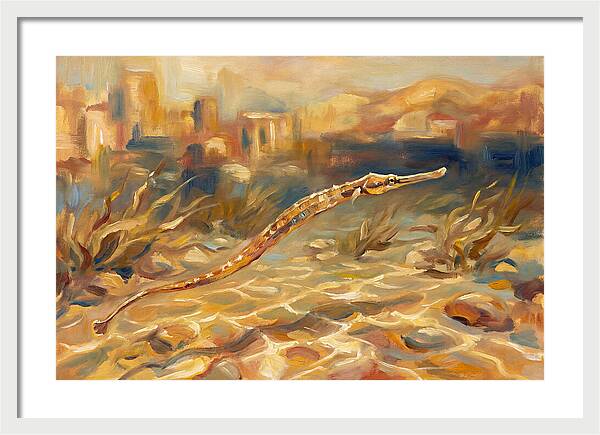 Mediterranean Pipefish Serenity