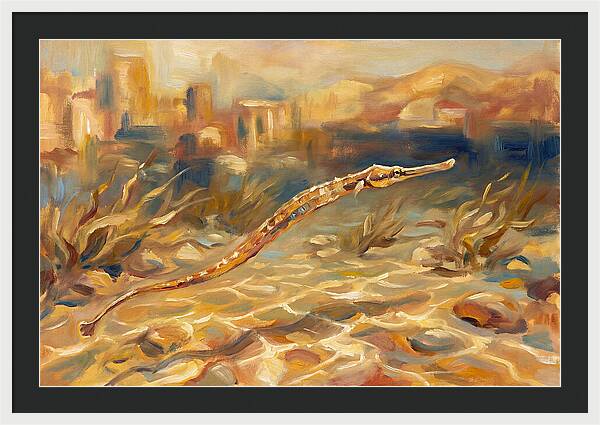 Mediterranean Pipefish Serenity