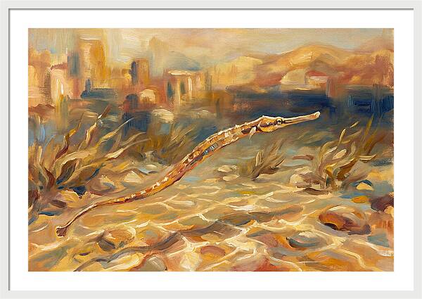 Mediterranean Pipefish Serenity