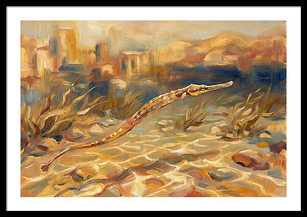 Mediterranean Pipefish Serenity