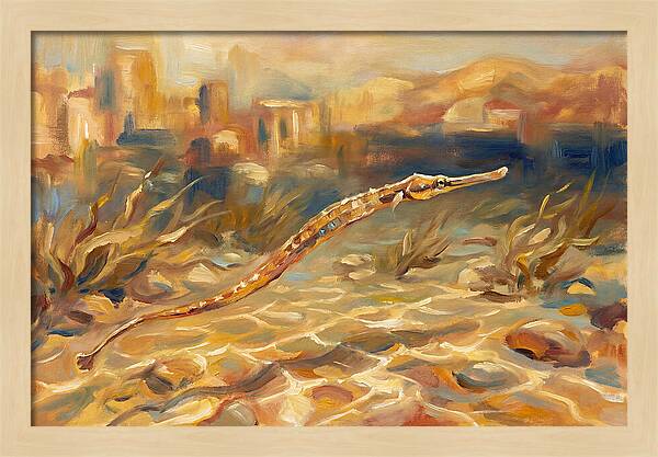 Mediterranean Pipefish Serenity