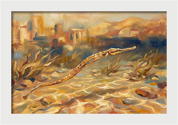 Mediterranean Pipefish Serenity