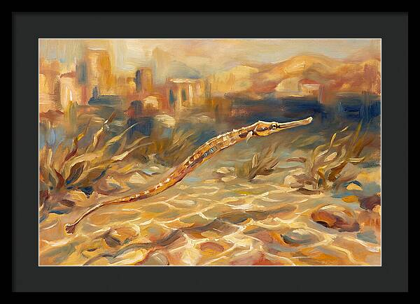 Mediterranean Pipefish Serenity