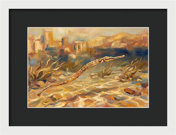 Mediterranean Pipefish Serenity