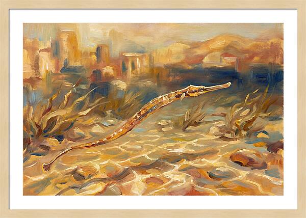 Mediterranean Pipefish Serenity