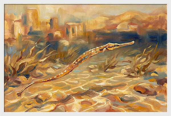 Mediterranean Pipefish Serenity