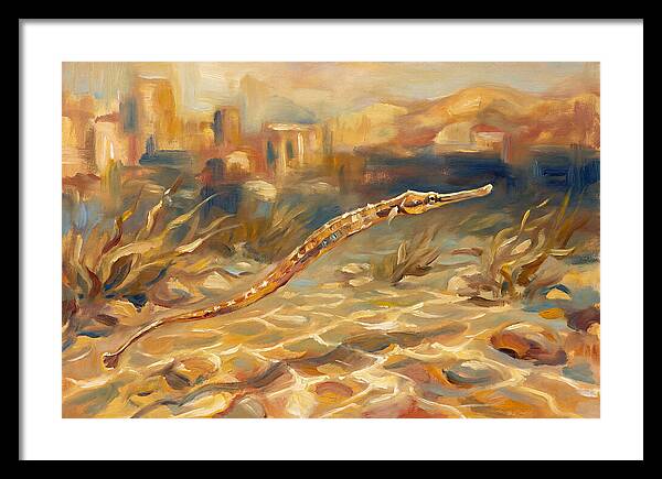 Mediterranean Pipefish Serenity