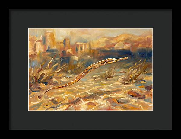 Mediterranean Pipefish Serenity