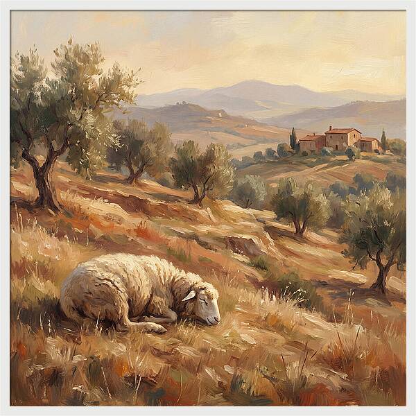Mediterranean Serenity With Sheep