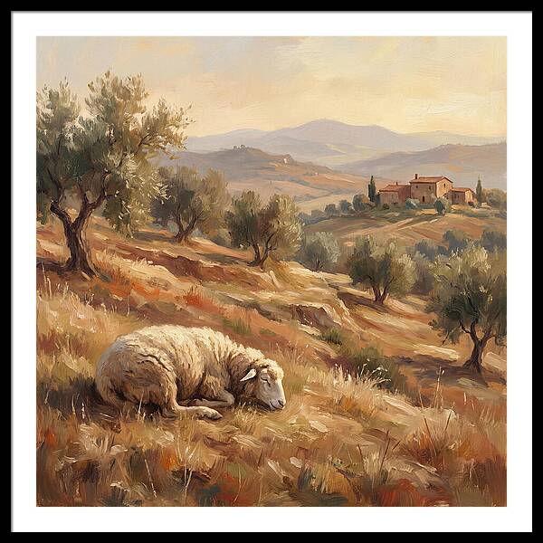 Mediterranean Serenity With Sheep