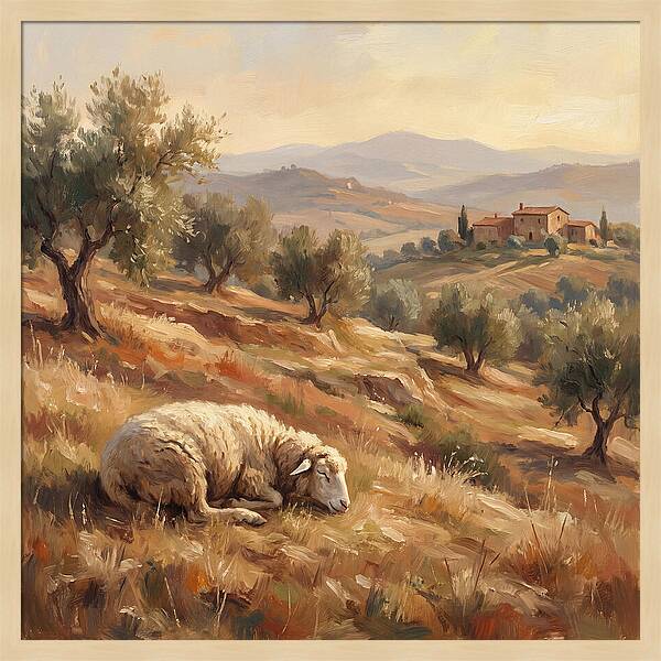 Mediterranean Serenity With Sheep