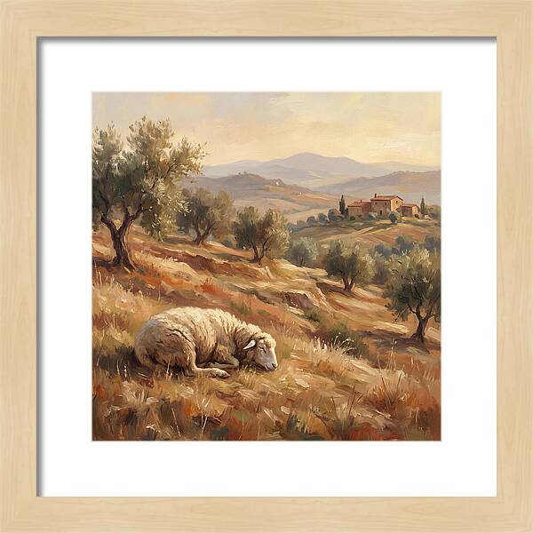 Mediterranean Serenity With Sheep