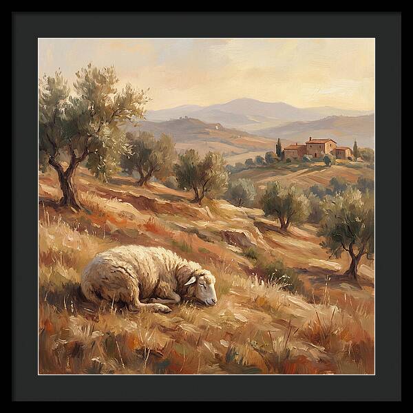 Mediterranean Serenity With Sheep