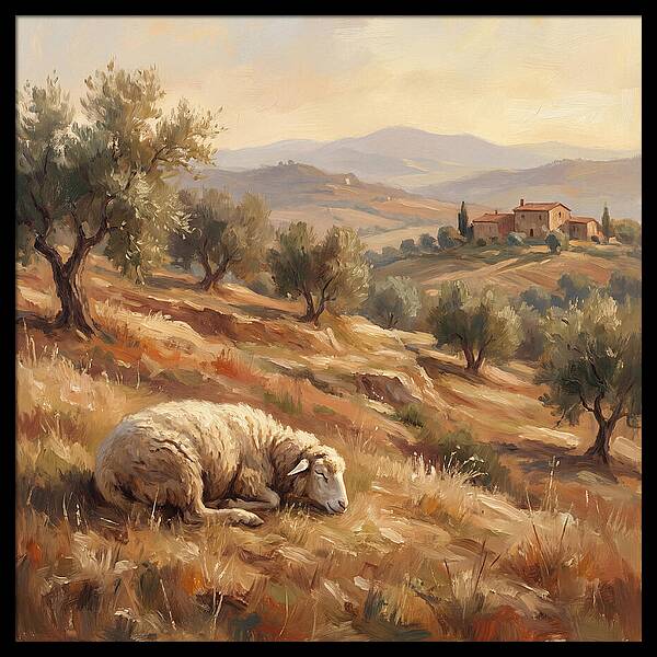 Mediterranean Serenity With Sheep
