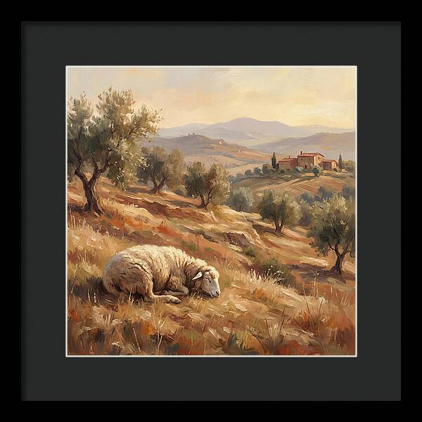 Mediterranean Serenity With Sheep