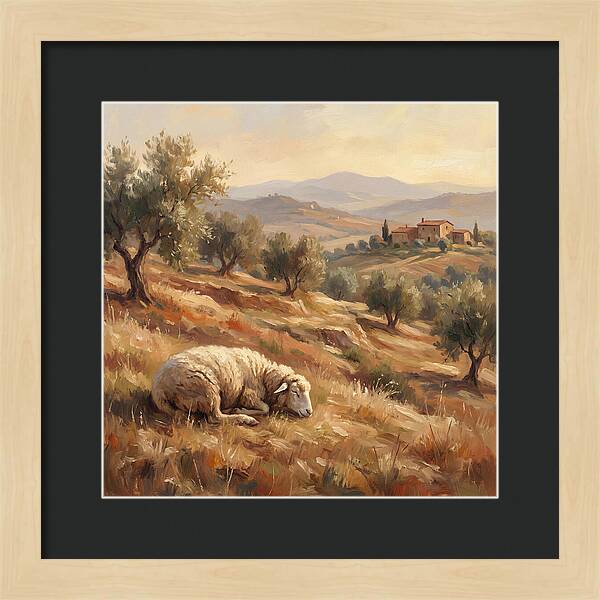 Mediterranean Serenity With Sheep