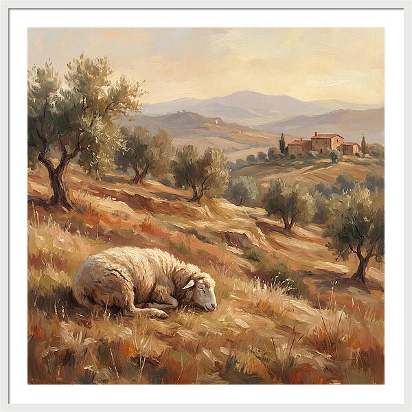 Mediterranean Serenity With Sheep