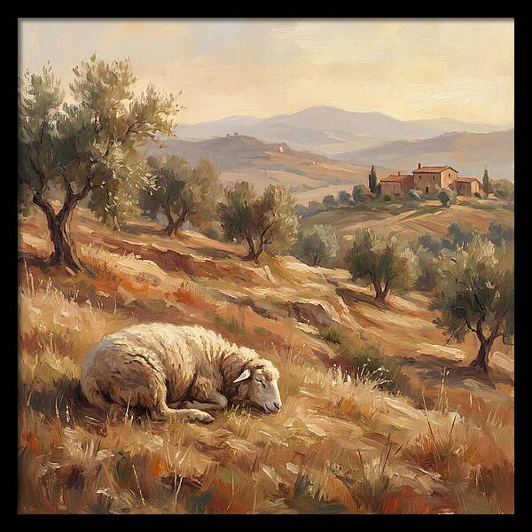 Mediterranean Serenity With Sheep
