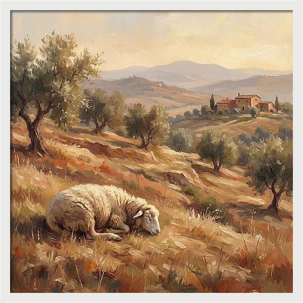 Mediterranean Serenity With Sheep