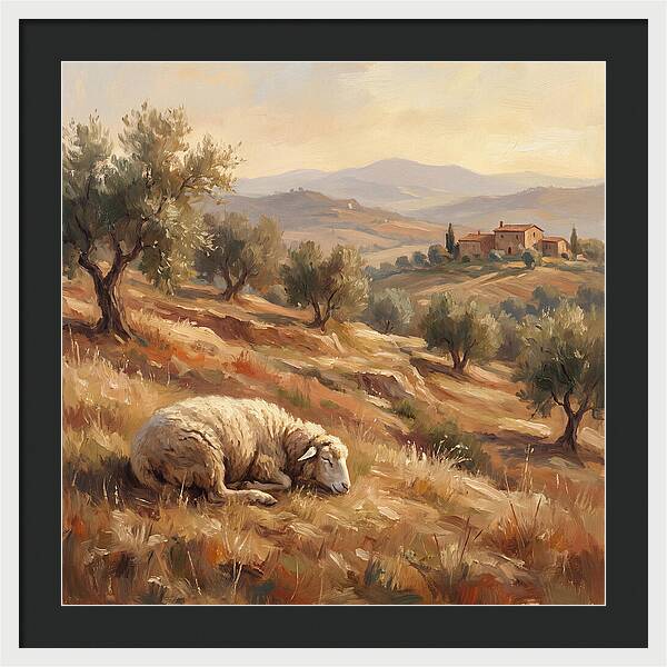 Mediterranean Serenity With Sheep
