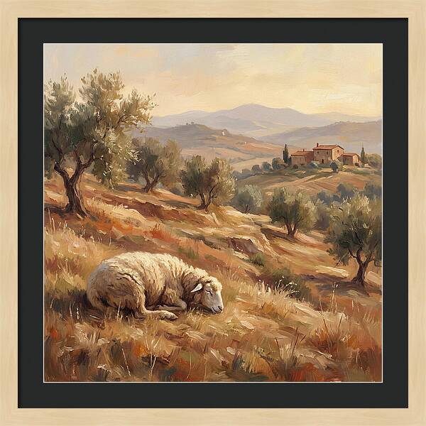 Mediterranean Serenity With Sheep