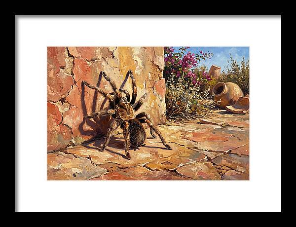 Mediterranean Tarantula Encounter