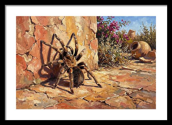 Mediterranean Tarantula Encounter
