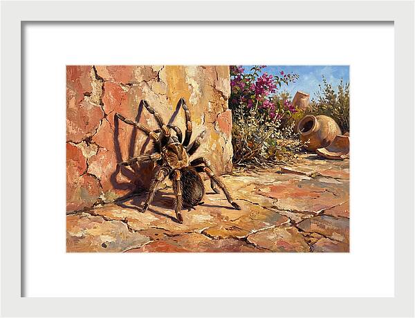 Mediterranean Tarantula Encounter