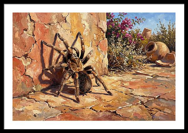 Mediterranean Tarantula Encounter