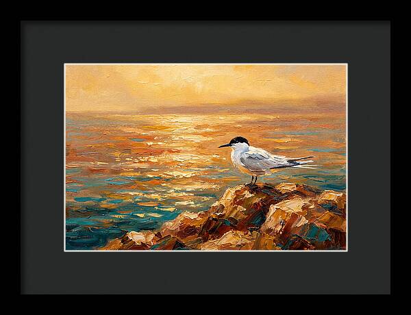 Mediterranean Tern At Sunset